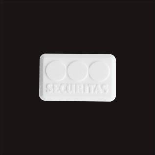 customized rectangled peppermints
